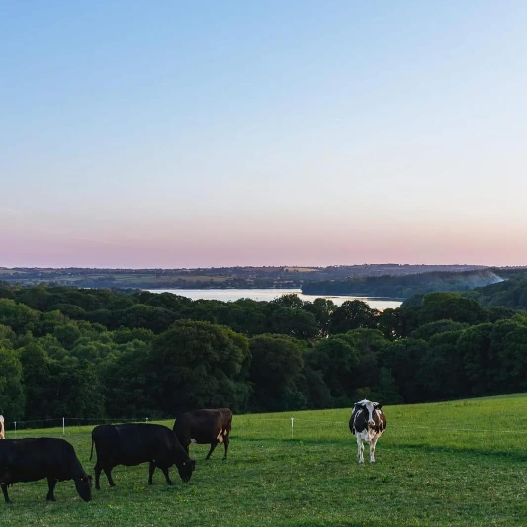 Broomhill Barns Minwear Luaran gambar